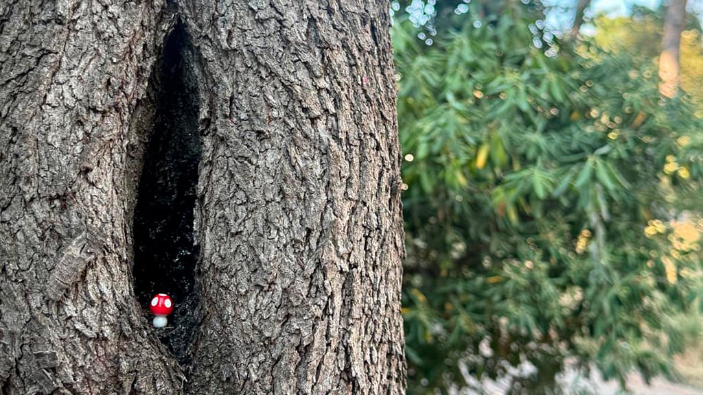 La invasió dels bolets La invasió dels bolets